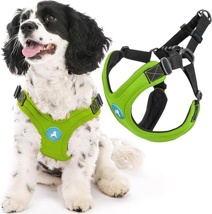 Gooby Escape Free Sport Dog Harness, Choke-Free, Lime, Large | Patented escape-free frame; Reduces choking; 4-point adjustment; Soft neoprene padding; Durable webbed straps