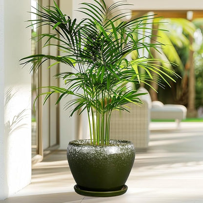 Ceramicfor 8 Inch Plant Pot - Ceramic Planter with Drainage Hole and Saucer, Modern Flower Pot for Glazed Indoor Plants Outdoor, Dark Green