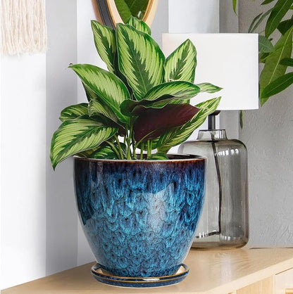 Ceramic Plant Pot, 6.3 Inch Ceramic Planter Pot with Drainage Hole and Saucer, Succulent Round Flower Pot for Indoor Plants Outdoor, Blue
