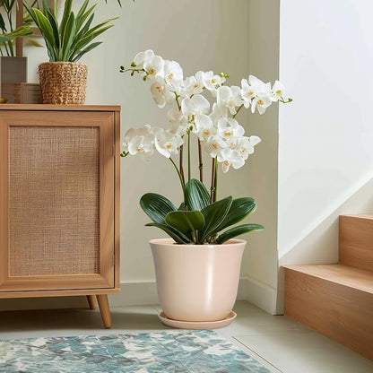 Ceramic Plant Pots - 12 Inch Plant Pot with Drainage Hole and Tray, Large Round Flower Pot for Indoor Outdoor, Modern Planter, Decorative Planters, Home Garden Decor, Beige