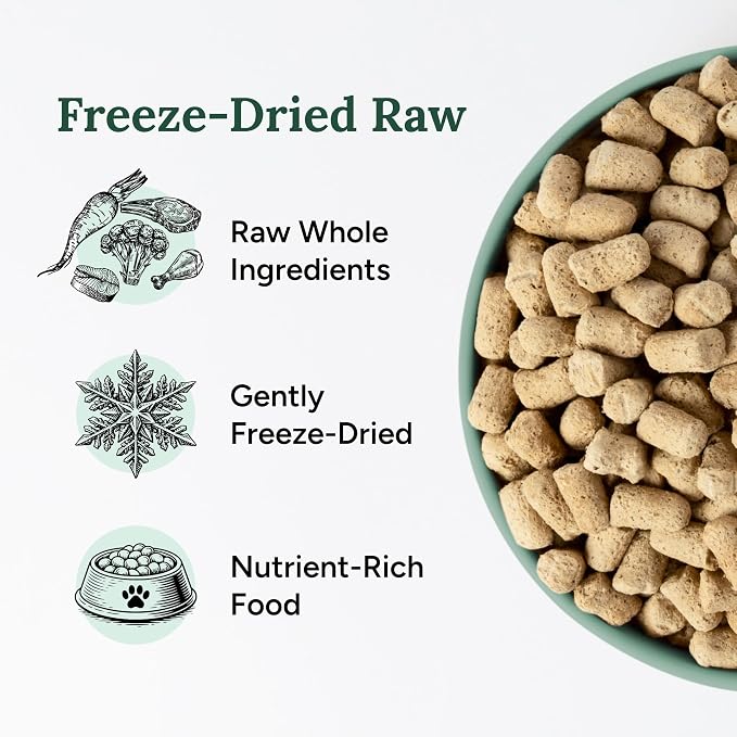 360 Pet Nutrition Freeze-Dried Raw Dog Food – Beef Recipe with Liver & Organs, High Protein with Omega-3s, Fruits, Veggies & Superfoods, Grain-Free, No Fillers 4 x 16 oz Made in USA