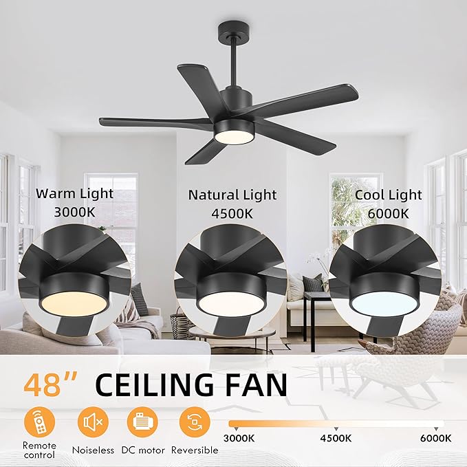 WINGBO 48 Inch DC Ceiling Fan