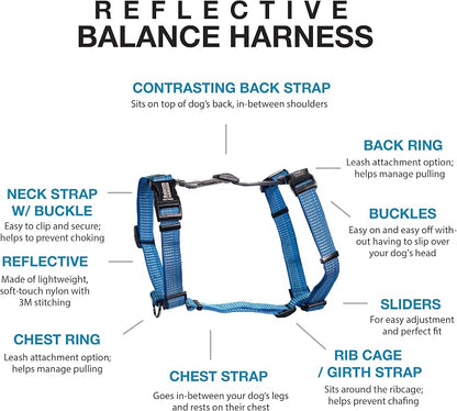 Blue-9 Reflective Buckle-Neck Balance Harness, Fully Customizable Fit No-Pull Harness with 3M Reflective Stitching, Ideal for Dog Training and Obedience, Made in The USA, Blue, Large