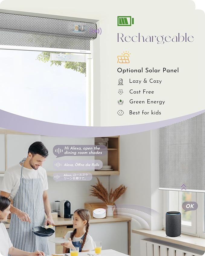 Graywind Motorized Solar Shades Light Filtering Mesh Shade Compatible