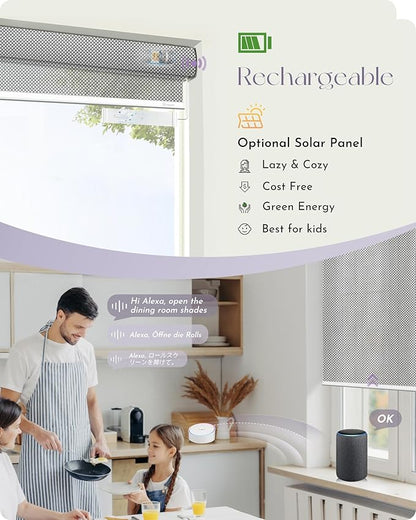 Graywind Motorized Solar Shades Light Filtering Mesh Shade Compatible