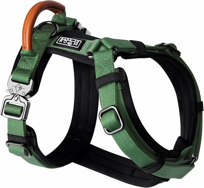 MADE TO ROAM Premium Explorer Harness - Y-Shaped Dog Harness with Adjustable Durable Nylon, Soft Padding, Metal Buckles and Leather Handle for Small, Medium, Large Dogs (Oregon Haze, Size 2)