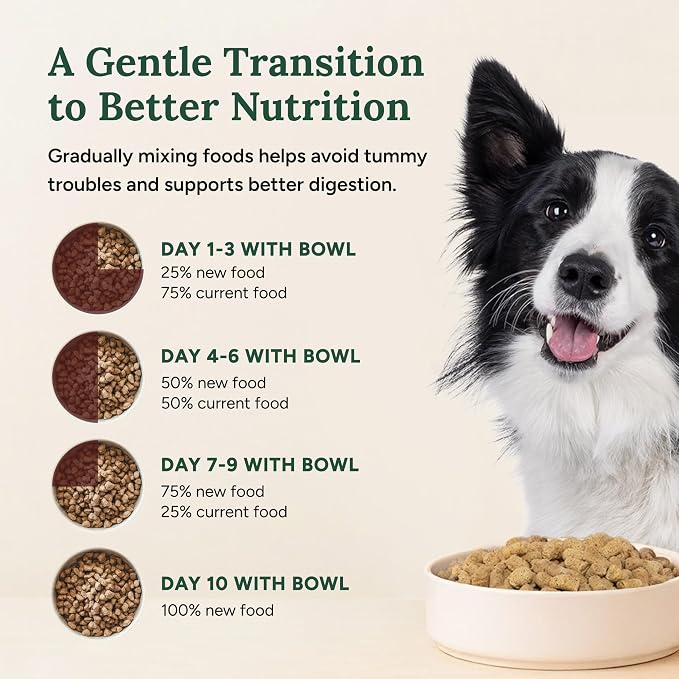360 Pet Nutrition Freeze-Dried Raw Dog Food – Beef Recipe with Liver & Organs, High Protein with Omega-3s, Fruits, Veggies & Superfoods, Grain-Free, No Fillers 4 x 16 oz Made in USA