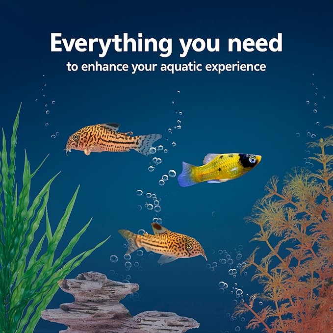 Aqueon Aquarium Starter Kit with Smart Clean Filtration and LED Lighting, Freshwater and Saltwater Fish, Perfect for Tetras, Guppies, Platies, 10-Gallon