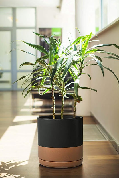 D'vine Dev Set of 2 Plants Pot, 10 Inch Ceramic Planter Pot for Plants with Drainage Hole and Saucer, Black/Speckled Tan, 94-V-E-7