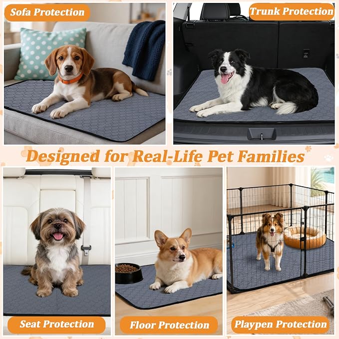 Washable & Reusable Pee Pads for Dogs, 2 Pack, 28 x 40 Inch | Super Absorbent, Waterproof TPU, Machine Washable & Reusable, Non-Slip Bottom, Floor Protection