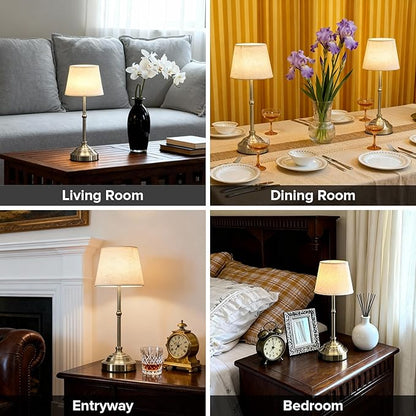 Cordless Table Lamp, Rechargeable Desk Lamp with Fabric Shade, Battery Operated Lamp 3 Color Stepless Dimming, Portable Touch Bedside Lamp Home Decor for Dining, Counter (Brushed Sliver)