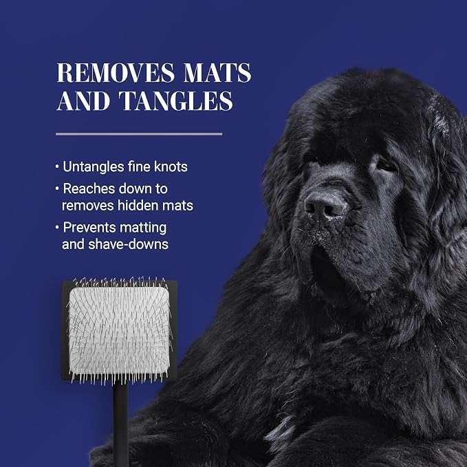 Chris Christensen Baby K Dog Slicker Brush, Groom Like a Professional, Fluff Detangle Style, Saves Time Energy, Black, Small