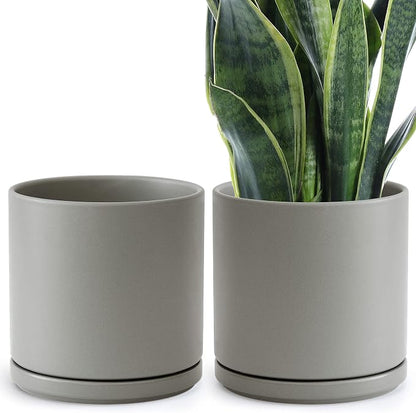 D'vine Dev Set of 2 Plants Pots, 10 Inch Ceramic Planter Pot for Plants with Drainage Hole and Saucer, Speckled Grey, 94-V-E-3