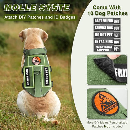 Service Dog in Training Vest and Leash Set with 10 Patches,Heavy Duty Tactical Dog Harness with Metal Buckles for Medium Sized Dogs,No Pull Easy Walking for Training Working Hiking,Green M