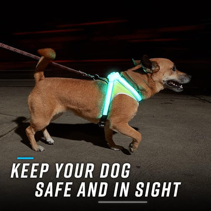 noxgear LightHound Light Up Reflective Dog Harness and Wrist Light, Medium | 360° Light Up Reflective Dog Harness, 8 Colors & 6 Modes, USB Rechargeable, Adjustable, Rainproof, LED Fiber Optic