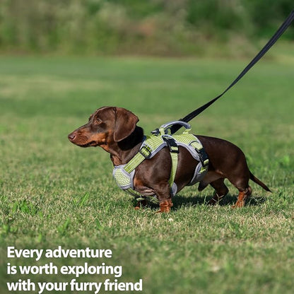 Escape Proof Dog Harness, Dachshund Harness, Reflective Dog Harness with Handle, Durable,Adjustable Vest for Small Medium Large Dogs Walking, Training, and Running Gear (Green,S)