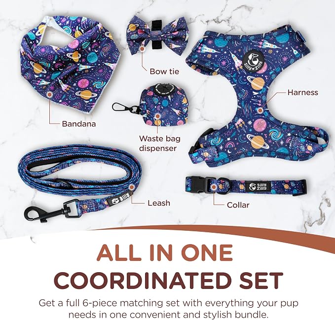 No Pull Harness and Leash Set - 6-in-1 Adjustable Vest Harness and Collars for Medium and Large Dogs. (Cosmic, Extra Small)