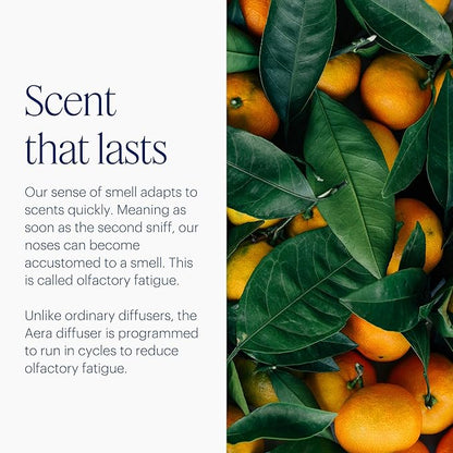 Aera Mini Home Fragrance Diffuser Plug-In: Smart Home App Aroma Control