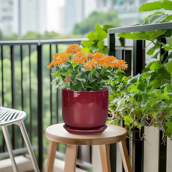 Ceramic Planter for Plants - Round Modern 7 Inch Plant Pot Indoor with Drainage Hole and Saucer, Home Patio Office Apartment Decor, Red