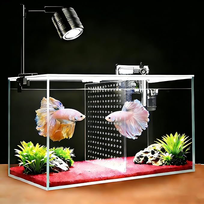Fish Tank, 3 Gallon Ultra-Clear Glass Fish Aquarium, with Separator Plate for Betta, Fish Tank Starter kit with Filter and Adjustable Led Light, White