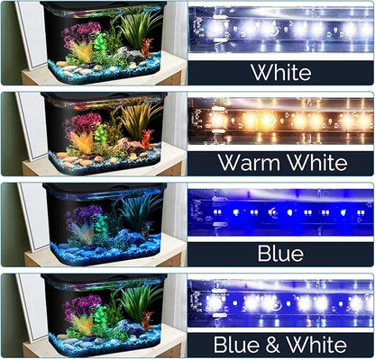 Koller Products 5-Gallon Aquarium Kit with LED Lighting and Power Filter, Ideal for a Variety of Tropical Fish