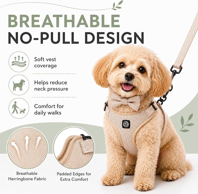 EVERKING 5-Piece Dog Travel Set, Adjustable Harness, Leash, Collar, Poop Bags, Bowtie for Small Medium Dogs, Beige, Breathable No-Pull Design (Beige, M)