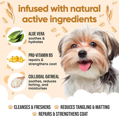 Oatmeal Dog Shampoo by Buddycare | Shampoo for Dogs with Irritated Skin | Relieving and Rehydrating | with Aloe Vera and Pro Vitamin B5 (50.72oz)