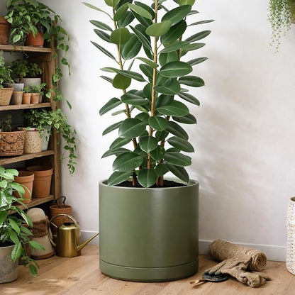 D'vine Dev 16 Inch Ceramic Planter Pot, Olive, 94-O-H-J | Modern Cylinder Design, Drainage Hole & Saucer Included, Stable Structure, Elegant Home Accent