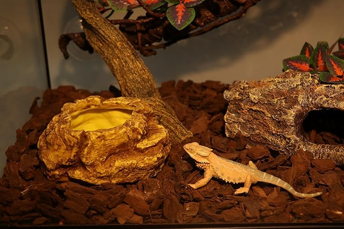 AQUA KT Reptile Food Mealworm Feeding Bowl Corn Snake Water Dish Anti Escape for Lizard Bearded Dragon Chameleon Leopard Gecko Terrarium Feeder