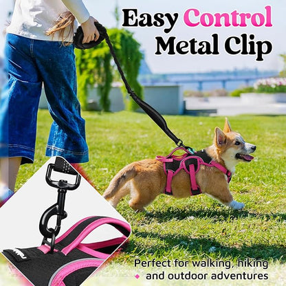 rabbitgoo Escape Proof Dog Harness for Small, No Pull with Lift Handle | No Escape, Full Soft Padded, Reflective Adjustable Vest, Leash Clip for Walking Hiking Training, Rose & Black, Small