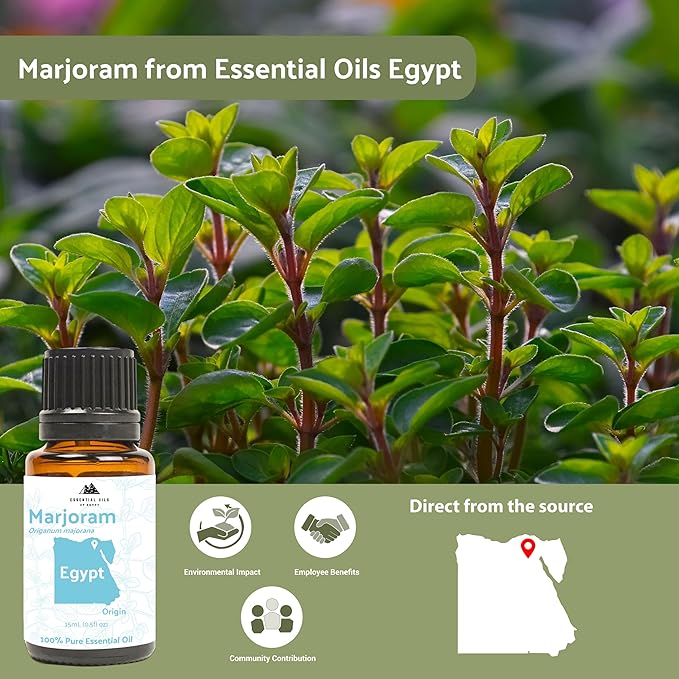 Marjoram Essential Oil