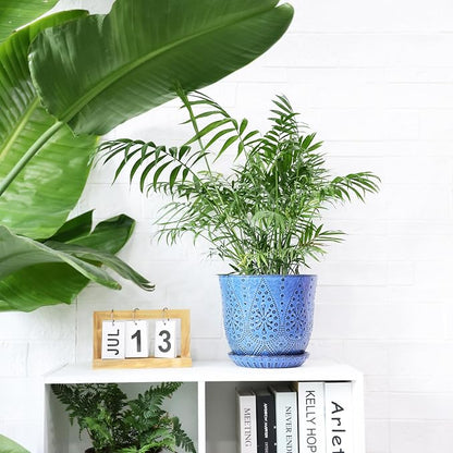 Gepege 8 Inch Plant Pot for Indoor Plants, Ceramic Planter with Drainage Holes and Saucers Large Flower Pot