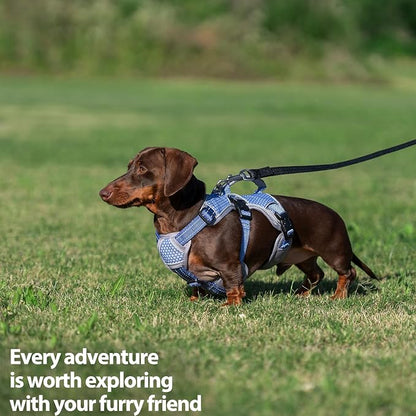 Escape Proof Dog Harness, Dachshund Harness, Reflective Dog Harness with Handle, Durable,Adjustable Vest for Small Medium Large Dogs Walking, Training, and Running Gear (Technicolor Blue,S)