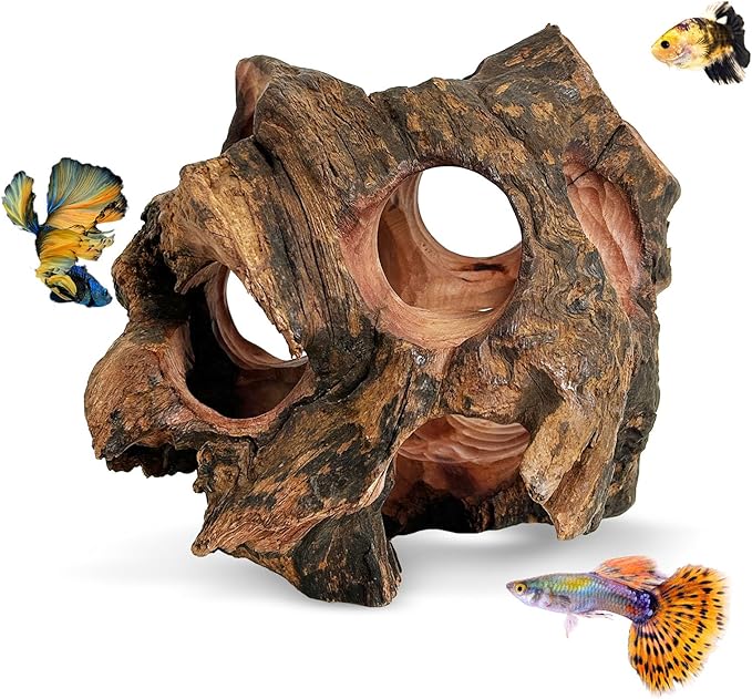 PINVNBY Betta Fish Cave Natural Wood Betta Fish Hideout for Aquarium Fish Tank Decorations Hideout Betta Fish Accessories Habitat Shelter for Crayfish Shrimp and Other Aquatic Pets