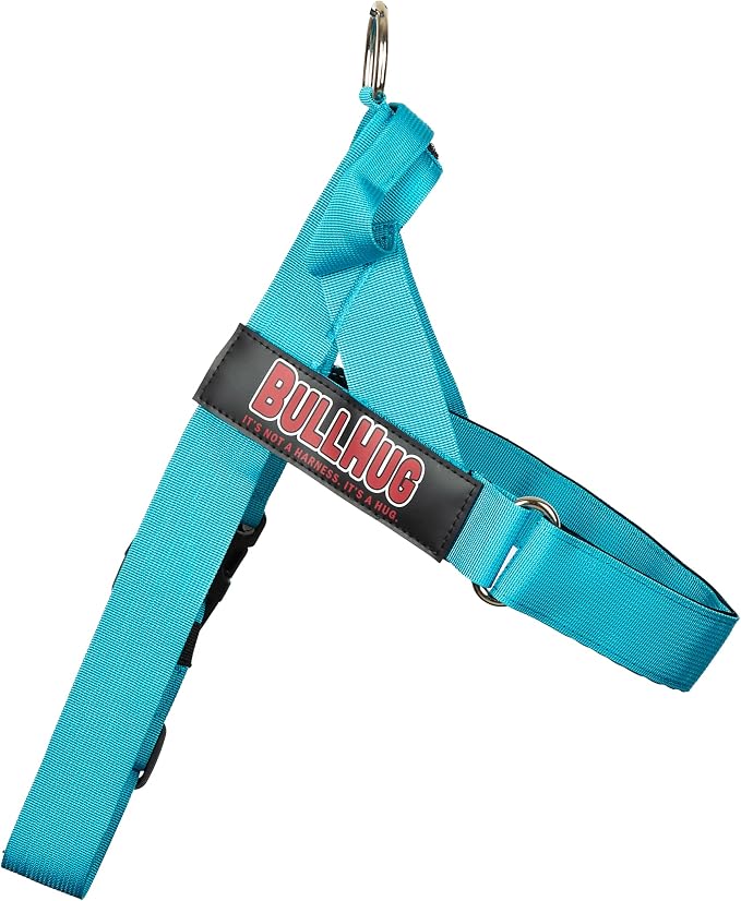 Adjustable Dog Harness– No Pull, No Choke – for English Bulldogs, French Bulldogs, Pugs & Broad-Chested Breeds – Easy, Safe Walks (Teal, Medium)