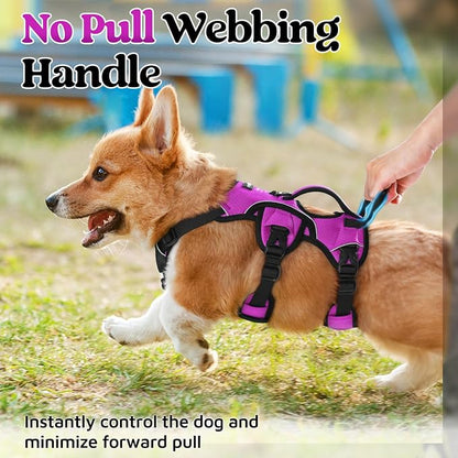 rabbitgoo Escape Proof Dog Harness for Small, No Pull with Lift Handle | No Escape, Full Soft Padded, Reflective Adjustable Vest, Leash Clip for Walking Hiking Training, Purple, Small
