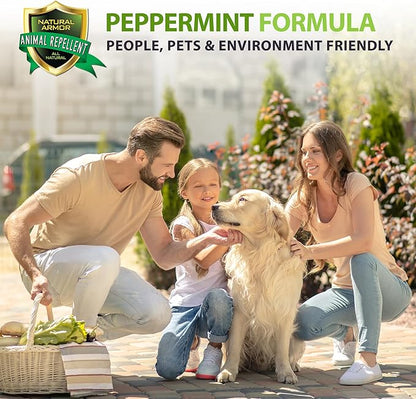 Natural Armor Animal & Rodent Repellent Spray. Repels Skunks, Raccoons, Rats, Mice, Deer Rodents & Critters. Repeller & Deterrent in Powerful Peppermint Formula – 128 Fl Oz Gallon Refill RTU