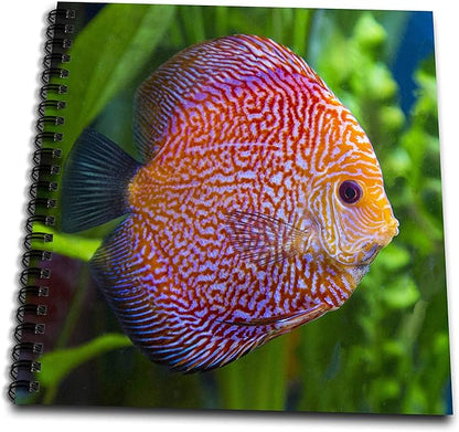 Memory Book 12 x 12 inch - Super Pigeon Snakeskin Discus, tropical freshwater fish. Fish