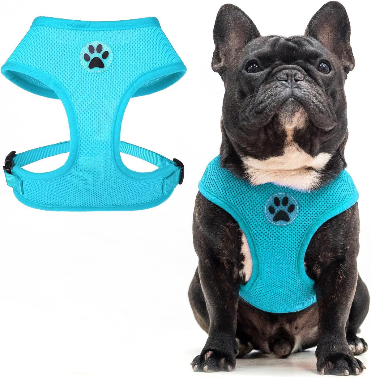 BINGPET No Pull Dog Harness,Soft Mesh Breathable All Weather Vest Harness,Safety Protection Design Durable Adjustable Step-in Easy Walk Dog Harness for Small Medium Large Dogs(RoyalBlue,M)