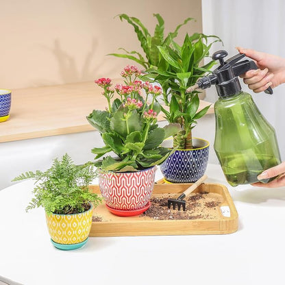 Selamica Ceramic Succulent Pots with Drainage Holes, Small Flower Pots 3.5 Inch Plant Pots for Indoor Plants with Saucers, Cactus Succulent, Home Decor, Set of 4, Assorted Colors
