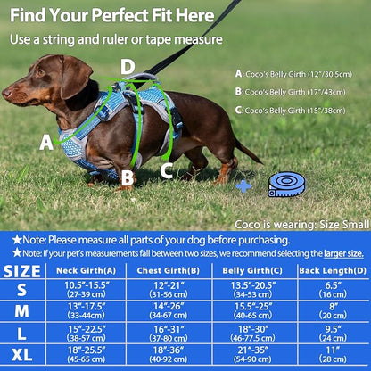 Escape Proof Dog Harness, Dachshund Harness, Reflective Dog Harness with Handle, Durable,Adjustable Vest for Small Medium Large Dogs Walking, Training, and Running Gear (Sea Blue,XL)