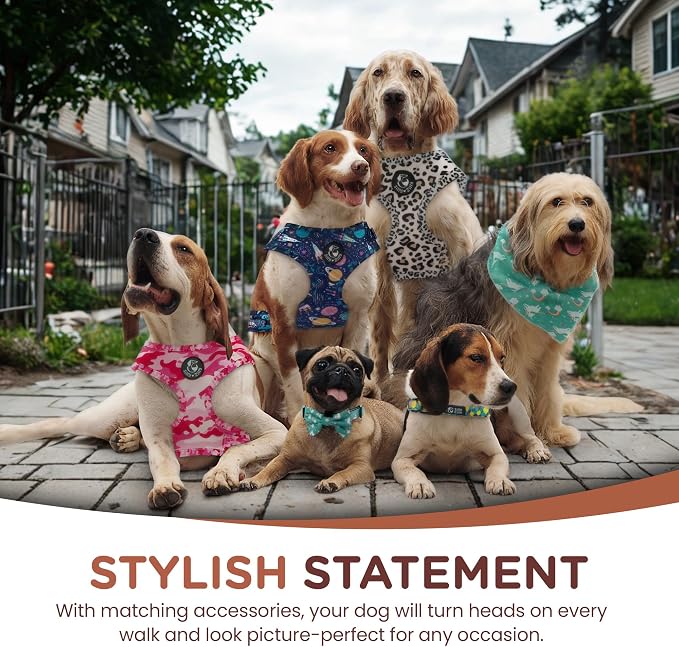 No Pull Harness and Leash Set - 6-in-1 Adjustable Vest Harness and Collars for Medium and Large Dogs. (Military Pink, Small)