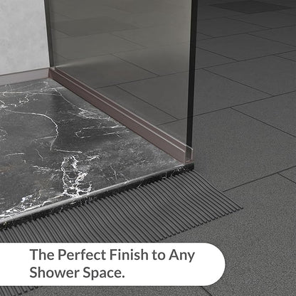 Brixwell SDCD38BN-CCP72-XCP10 Brushed Nickel 3/8" Fixed Panel Shower Door Deep