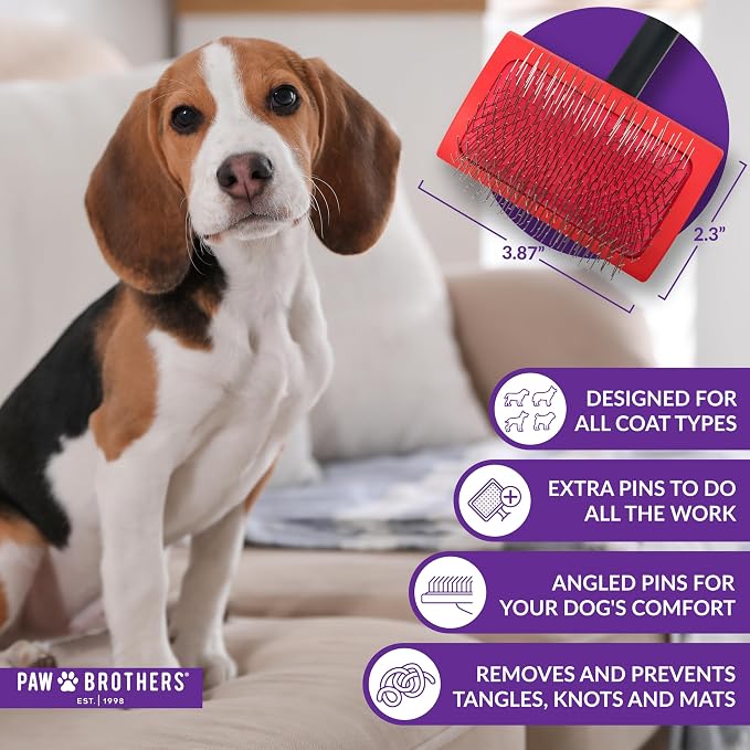 Paw Brothers Medium Slicker Brush for Doodles, Goldendoodles, Poodles - Grooming Brush for Long and Short Haired Dogs
