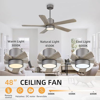 WINGBO 48 Inch DC Ceiling Fan