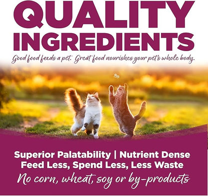 NutriSource Cat & Kitten Food, Chicken and Rice, 4LB
