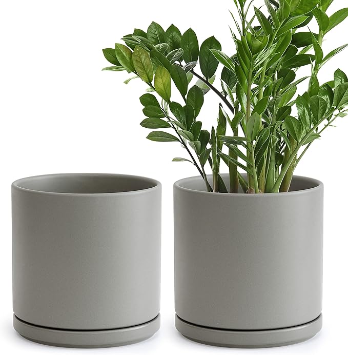D'vine Dev Set of 2 Plants Pots, 8 Inch Ceramic Planter Pot for Plants with Drainage Hole and Saucer, Speckled Grey, 94-V-D-3