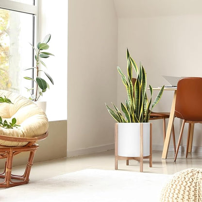 D'vine Dev Plastic Pot with Natural Wood Stand, White, 14 in, 55-C-S-1 | Mid-Century Inspired Design, Elevated Plant Display, Clean Lines, Sturdy Support, Modern Space-Saving Style