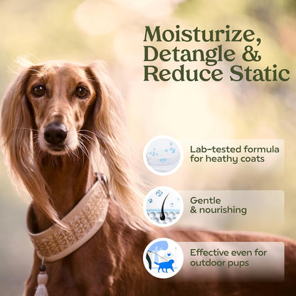 Paw Fume Dog Perfume Spray Long Lasting Scent for Grooming, Show Dog, 2-Pack – Keep Your Pup Fresh All Day – Hypoallergenic, Alcohol-Free, Detangling Formula – Moisturizing Pet Cologne Spray for Dogs