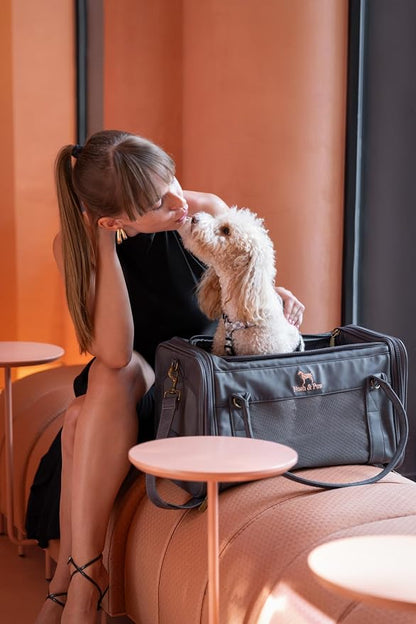 Noah & Paw Cat Carrier Soft Dog Carrier for Small Dogs, TSA Airline Approved 18x11x11in Cat Crate, Pet Travel Crate, Small Pet Kennel, Mattress Included, Charcoal Faux Leather